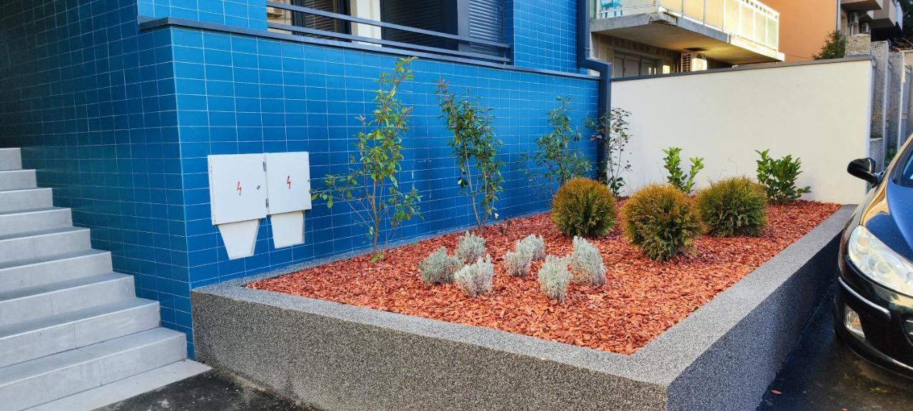 Apartmán Zvezdara Blue Star Bělehrad Exteriér fotografie